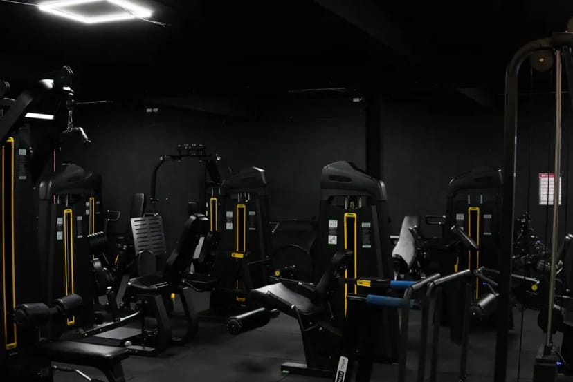 Gallery image
